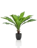 Kunstplant Asplenium Varen - 75cm - thumbnail