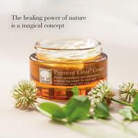 New Nordic Pigment Clear Cream - thumbnail