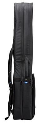 Reunion Blues RBX-2B RBX Double Electric gigbag voor 2 elektrische basgitaren