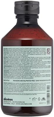 Davines Naturaltech Detox Scrub Shampoo