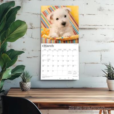 West Highland White Terrier Puppies Kalender 2026