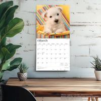 West Highland White Terrier Puppies Kalender 2026 - thumbnail
