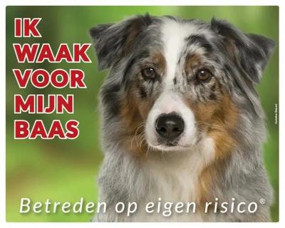 Australian Shepherd Waakbord