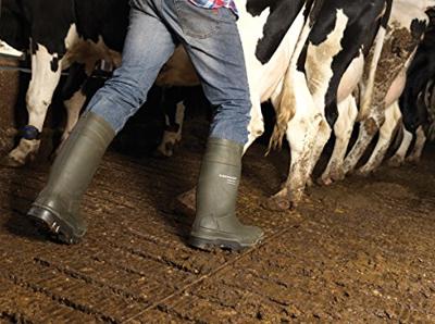 Dunlop C662933 Thermo + Purofort S5 full safety Groen - Maat 46 (UK11) - 15.032.047.11 Dunlop C662933 Thermo + Purofort S5 full safety Groen - Maat 46 (UK11) - 15.032.047.11