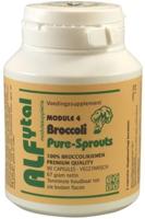 Broccoli Pure-Sprouts (module 4) - thumbnail
