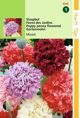 Zaden Papaver Slaapbol gemengd Hortitops - Hortitops
