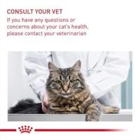 Royal Canin Digestive Care kattenvoer 2 kg - thumbnail