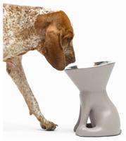 Voerbak voor honden United Pets Up Elisabeth Grijs Roestvrij staal Polyethyleen 1 L - thumbnail