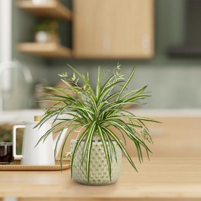 Chlorophytum RT kunst hangplant 45cm