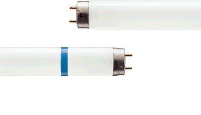 Philips Tl buis 36w/840 master secura koel wit | 25 stuk stuks