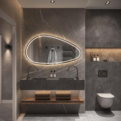 HIPP Design Phantom Organische LED spiegel - 100 x 65 cm - Directe en Indirecte LED - Spiegelverwarming - Kleurenwissel - Touch Dimmer