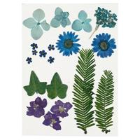 Creotime gedroogde blauwe bloemen en bladeren 19 stuks multicolor - thumbnail