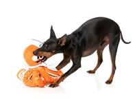 Fuzzyard octo-posse sailor squiggles pluche - thumbnail