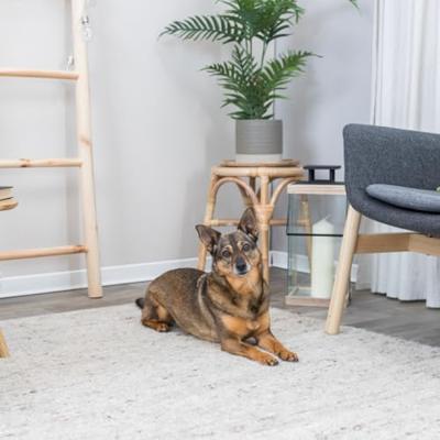 TRIXIE HONDENMAND LIANO GRIJS 100X80X21 CM