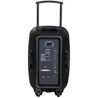 Blaupunkt PA12 draagbare luidspreker 650 W Draadloze stereoluidspreker Zwart - thumbnail