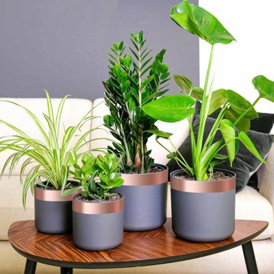 VidaXL Kopertape 6 pcs koper 2000 x 5 cm koper