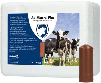 Excellent All-Mineral Plus 20 st