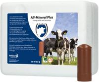 Excellent All-Mineral Plus 20 st - thumbnail