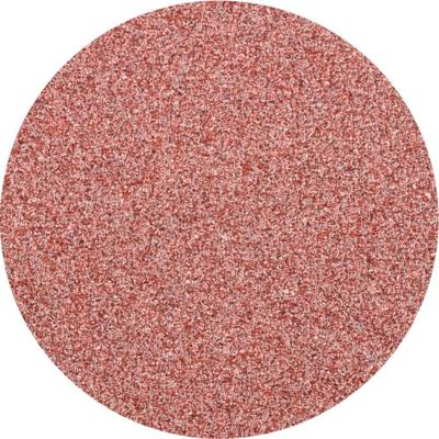 PFERD TOOLS CDR 38 A 60 FORTE 42771406 Schuurblad Korrelgrootte (num) 60 (Ø) 38 mm 100 stuk(s)