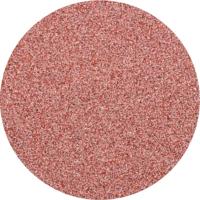 PFERD TOOLS CDR 38 A 60 FORTE 42771406 Schuurblad Korrelgrootte (num) 60 (Ø) 38 mm 100 stuk(s) - thumbnail