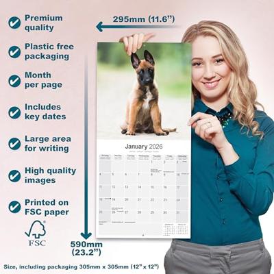 Belgian Shepherd Dog Calendar 2026 Square Dog Breed Wall Calendar - 16 Month