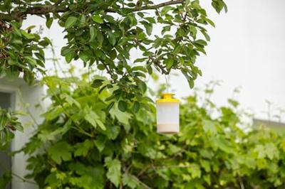 Kerbl Vliegenval flycage3