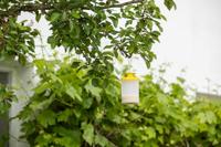 Kerbl Vliegenval flycage3 - thumbnail