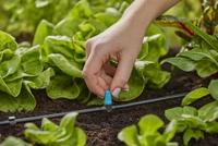 Sproeier voor kleine oppervlakken Gardena - Gardena - thumbnail