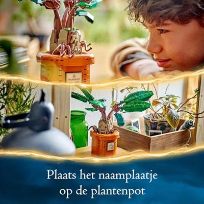 LEGO® HARRY POTTER™ 76433 Mandragora