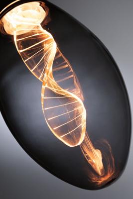 Paulmann 28883 LED-lamp E27 Kaars 3.5 W = 10 W Goud (Ø x h) 75 mm x 164 mm 1 stuk(s) Paulmann 28883 LED-lamp E27 Kaars 3.5 W = 10 W Goud (Ø x h) 75 mm x 164 mm 1 stuk(s)