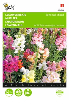 Zaden Antirrhinum Leeuwenbekje half-hoog gemengd Buzzy - Buzzy Zaden Antirrhinum Leeuwenbekje half-hoog gemengd Buzzy - Buzzy