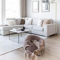 District 70 5590 bedje voor honden & katten Donutvormige hondenmand - thumbnail