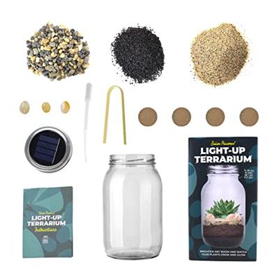 Lichtgevend terrarium