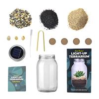 Lichtgevend terrarium - thumbnail