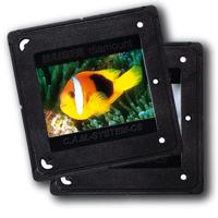 Kaiser Diaraampjes cam/cs @100 - thumbnail