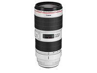 Canon EF 70-200mm F/2.8L IS III USM - thumbnail
