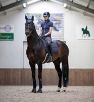 LeMieux Loire classic satin Zadeldek donkerblauw maat:dr full - thumbnail