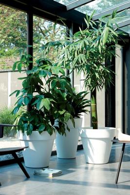 Elho: Pure Round Plantenbak 40 cm - Wit