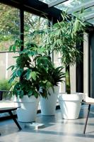 Elho: Pure Round Plantenbak 40 cm - Wit - thumbnail