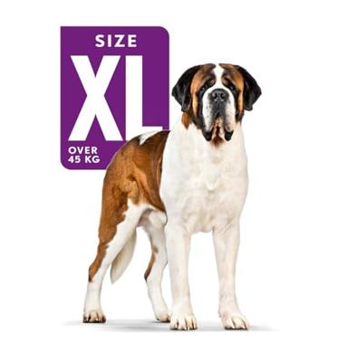 Royal Canin Giant Adult hondenvoer 4 kg - thumbnail