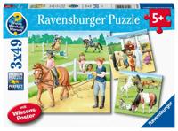 Een Dag Op De Manege (3X49 Stukjes) - Puzzel;Puzzel (4005556051298) - thumbnail