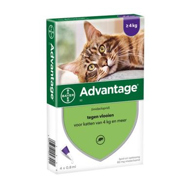 Bayer advantage kat