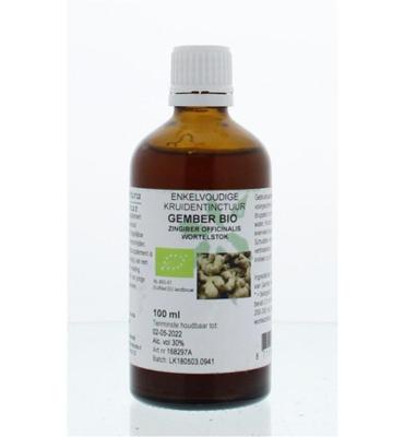 Cruydhof Zingiber officinalis rhiz/gember tinctuur bio 100 Milliliter Cruydhof Zingiber officinalis rhiz/gember tinctuur bio 100 Milliliter