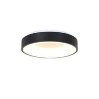 Steinhauer Plafondlamp Ringlede Ø 30 cm 3086 zwart - thumbnail