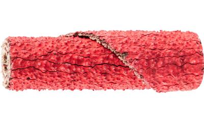 PFERD TOOLS PR 1235 CO-COOL 60 42811346 Schuurpapierrol Korrelgrootte (num) 60 (Ø x h) 12 mm x 35 mm 50 stuk(s)