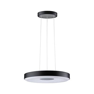 Paulmann Pane 79779 LED-hanglamp 11 W Zwart, Grijs Paulmann Pane 79779 LED-hanglamp 11 W Zwart, Grijs