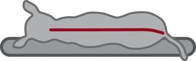 TRIXIE VITAL MATRAS BENDSON ORTHOPEDISCH DONKERGRIJS / LICHTGRIJS 80X60X10 CM TRIXIE VITAL MATRAS BENDSON ORTHOPEDISCH DONKERGRIJS / LICHTGRIJS 80X60X10 CM
