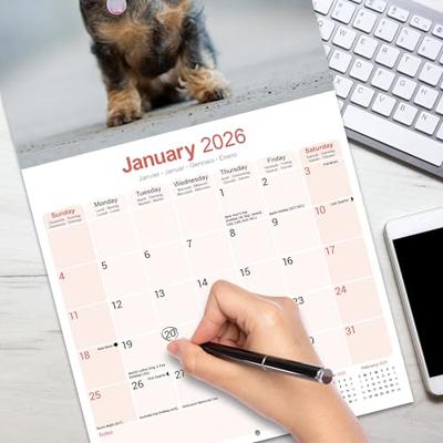 Teckel Ruwhaar Kalender 2026 Teckel Ruwhaar Kalender 2026