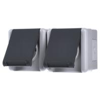 Jung 8220W Wandcontactdoos Opbouwbehuizing 2-voudig Grijs 1 stuk(s) - thumbnail