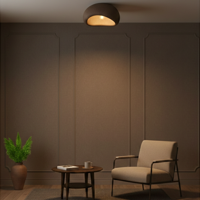 Lyora Natuurlijke plafondlampAere bruin 40cm - 9002678 - thumbnail